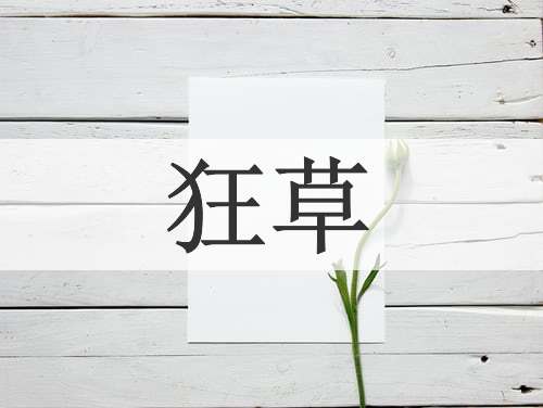 狂草