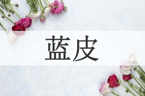蓝皮