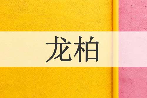 龙柏