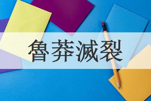 魯莽滅裂
