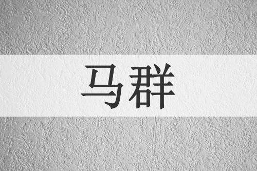 马群