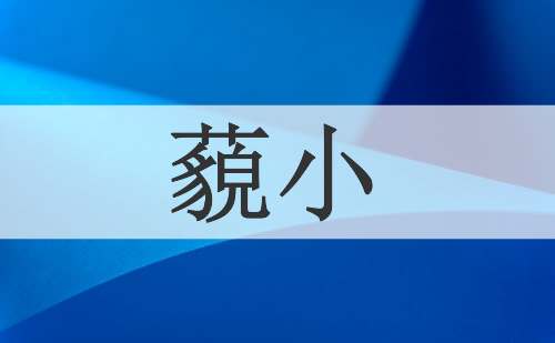 藐小