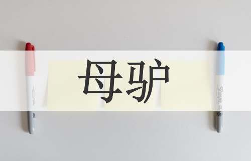 母驴