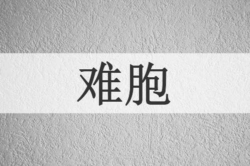 难胞