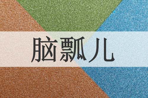 脑瓢儿