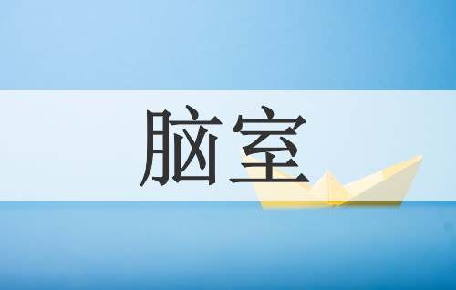 脑室