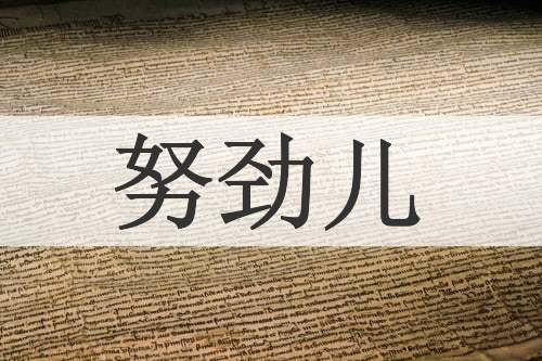 努劲儿