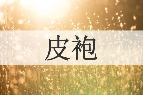 皮袍