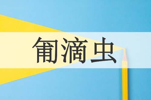 匍滴虫