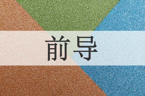 前导