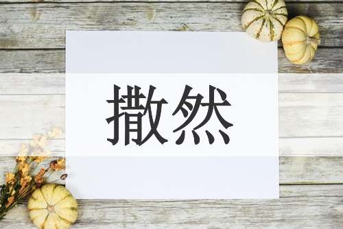 撒然