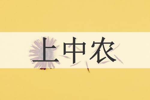 上中农
