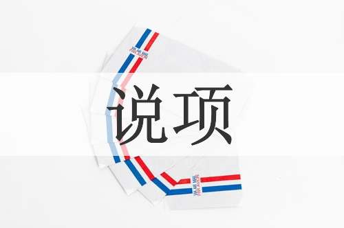 说项