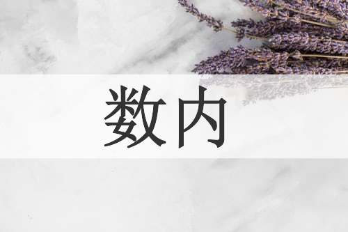 数内