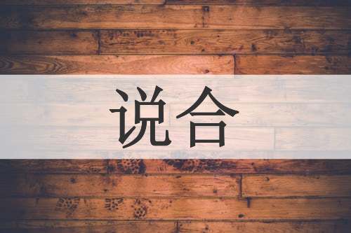 说合