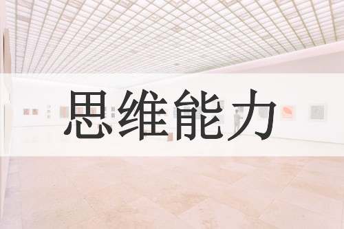 思维能力