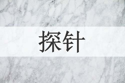 探针