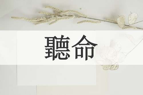聽命