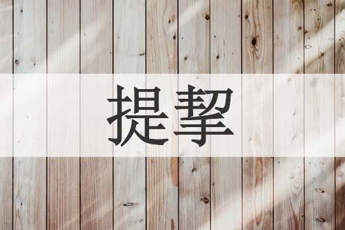 提挈