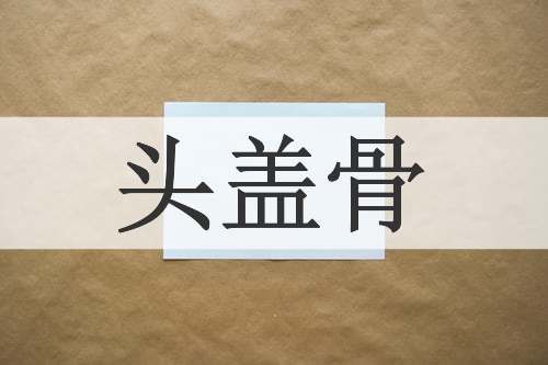 头盖骨