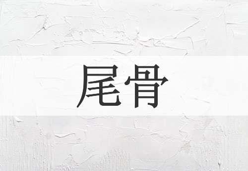 尾骨