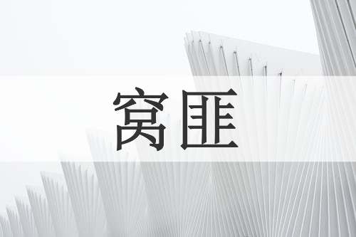 窝匪