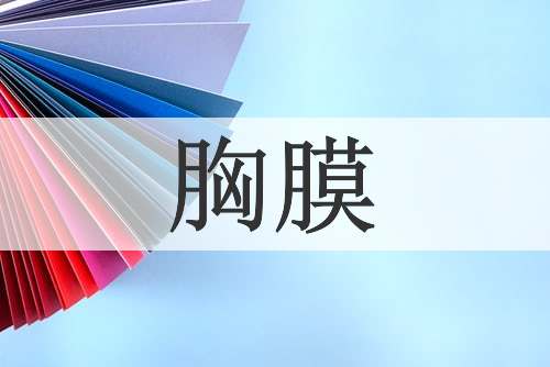 胸膜