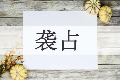 袭占