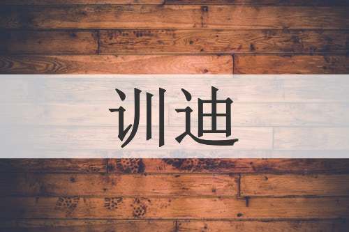 训迪