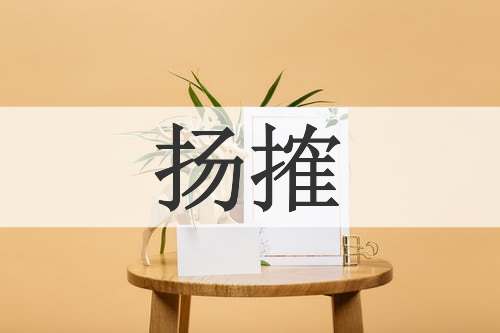 扬搉