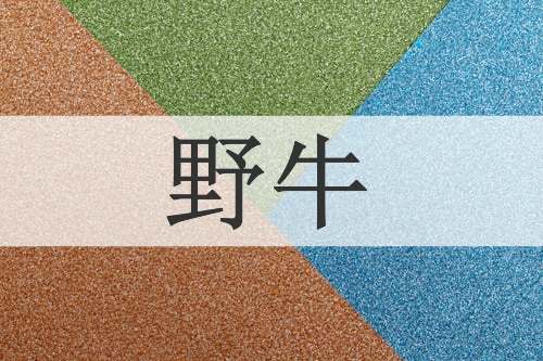 野牛