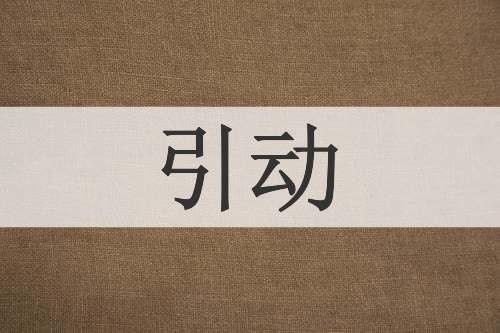 引动
