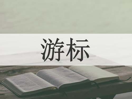 游标