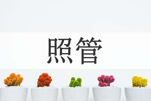 照管
