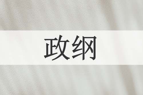 政纲