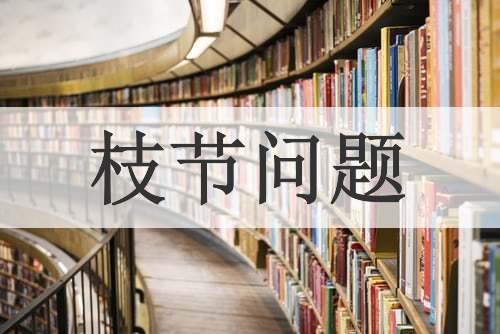 枝节问题