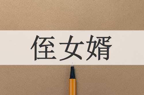 侄女婿