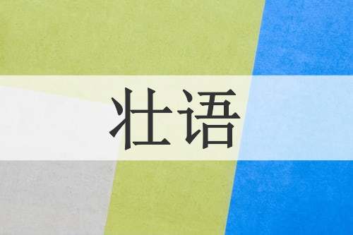 壮语