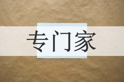 专门家