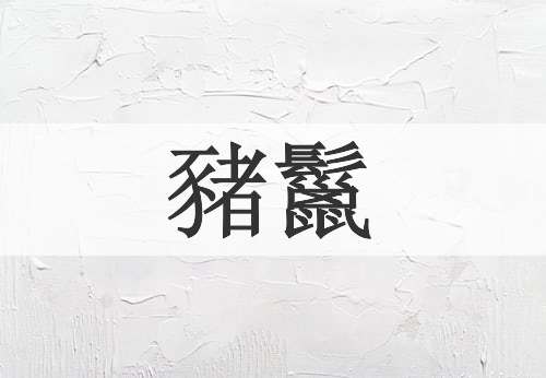 豬鬣