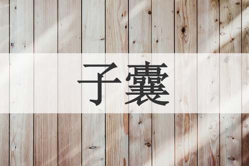子囊