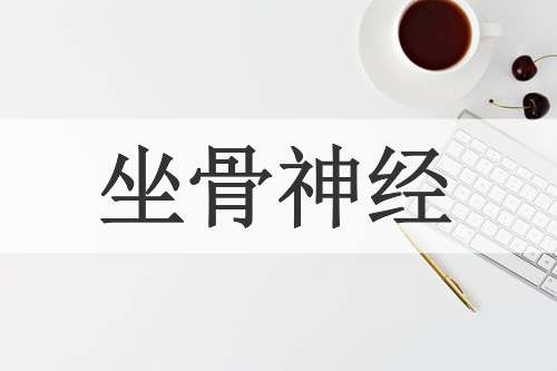 坐骨神经