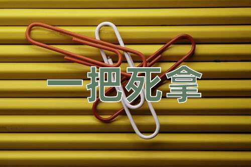 成语一把死拿