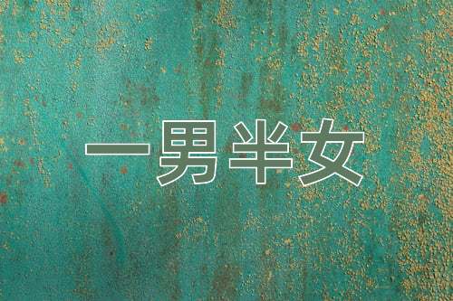 成语一男半女