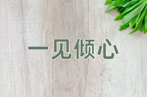 成语一见倾心