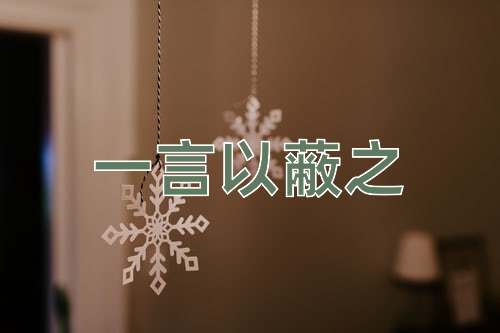 成语一言以蔽之