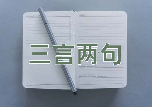 成语三言两句