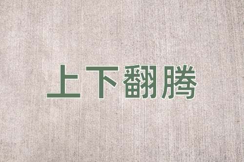 成语上下翻腾