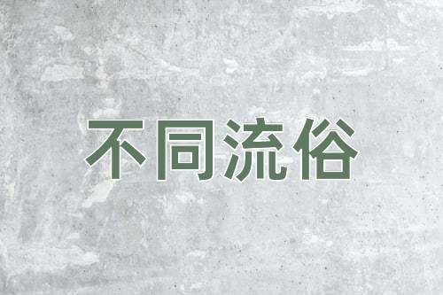 成语不同流俗