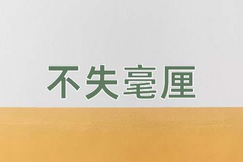 成语不失毫厘